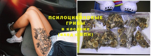 бошки Нижний Тагил