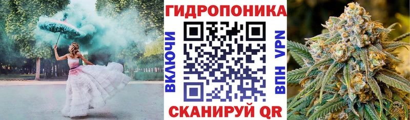 Бошки Шишки гибрид магазин наркотиков Черкесск